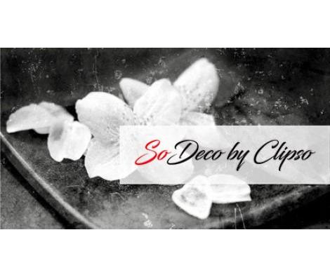 Clipso - AG - Philadelphus