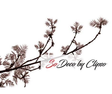 Clipso - VG - Spring 13