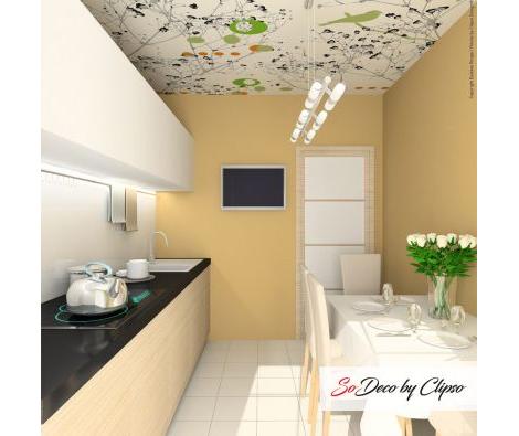 Clipso - BR Oiseau