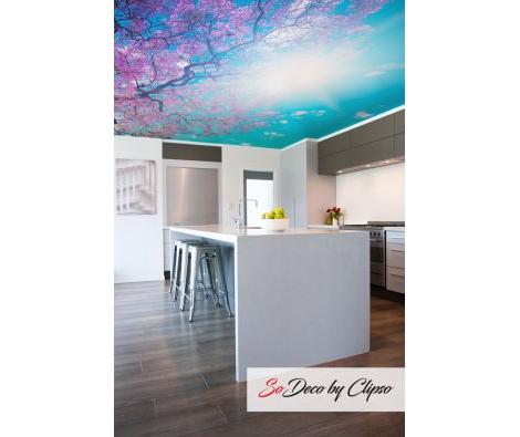 Clipso - Paysages - CD 1754