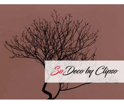 Clipso - VG - Branche 43