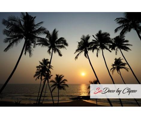 Clipso - TM Trivandrum India