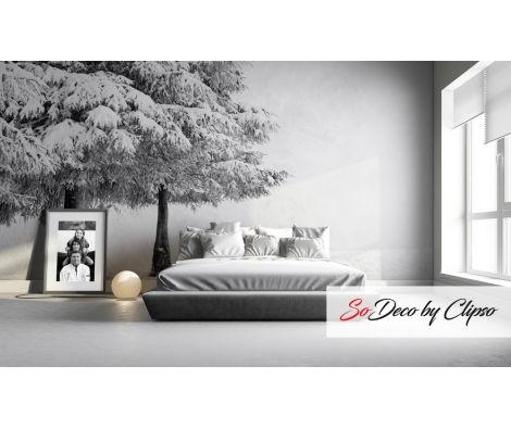 Clipso - Paysages - CD 1846