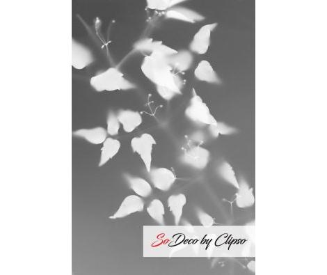 Clipso - VG - 2482NB
