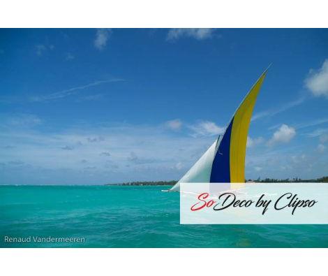 Clipso - RV - Bateaux à L'île Maurice 78