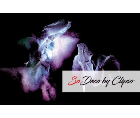 Clipso - SK - Iris 1