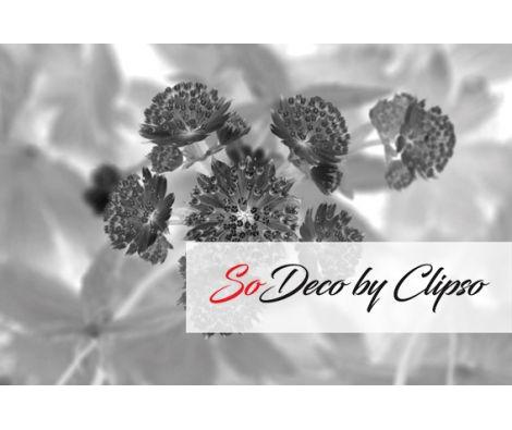 Clipso - VG MG 2195Bis