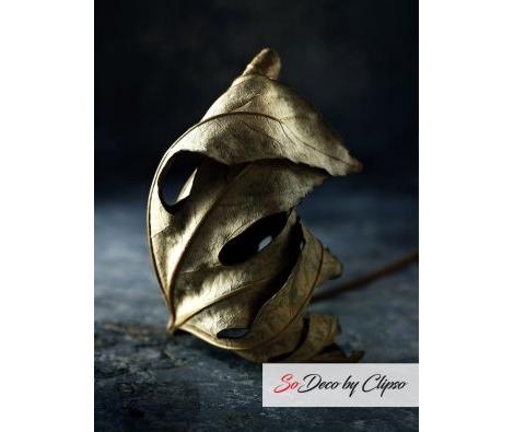 Clipso - AG - Leaf 2