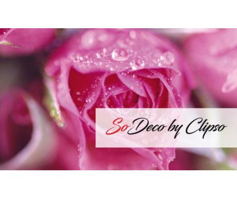 Clipso - TJ - Poupee