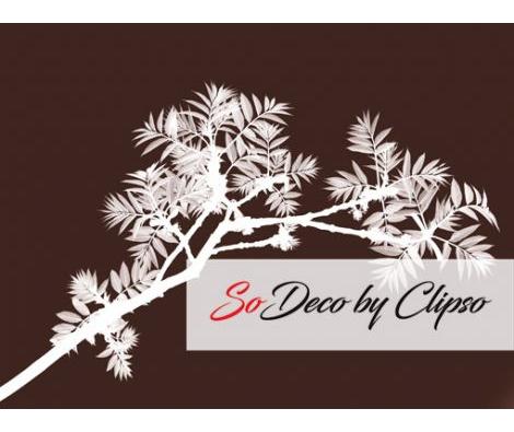 Clipso - VG - Spring 12