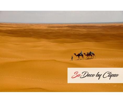 Clipso - RV - Ksar Ghilane Désert 0471