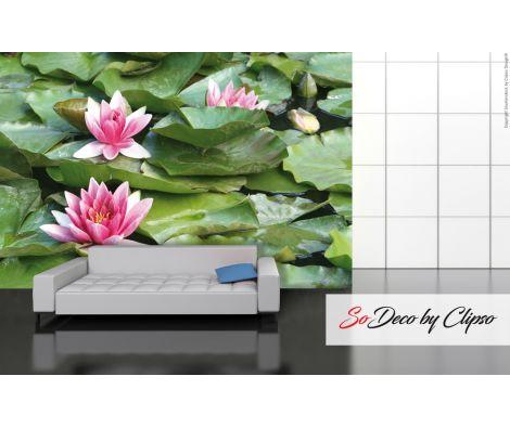 Clipso - Végétal - CD 1665 Lotus