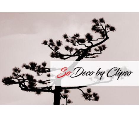 Clipso - VG - Pin