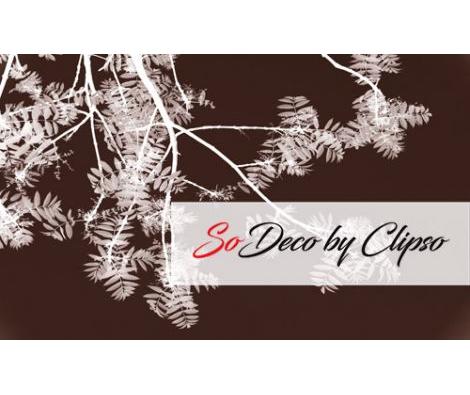 Clipso - VG - Spring 16