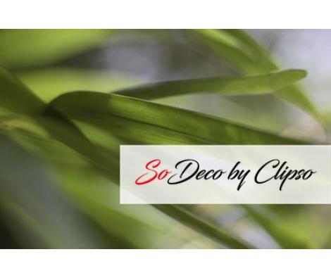 Clipso - AG - Bamboo Leaves 1