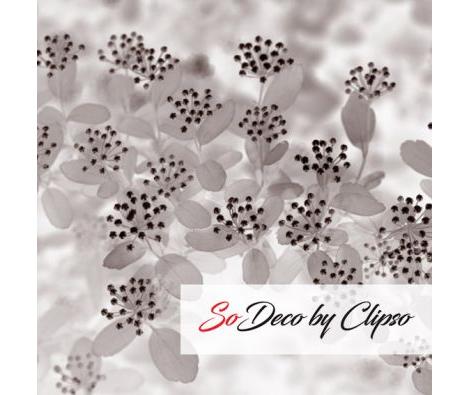 Clipso - VG - 2042b