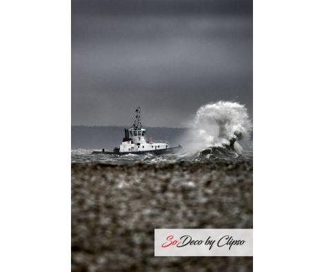 Clipso - VR Abeilles & Tempêtes 01