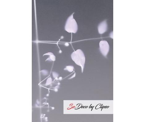 Clipso - VG - 2515NBI