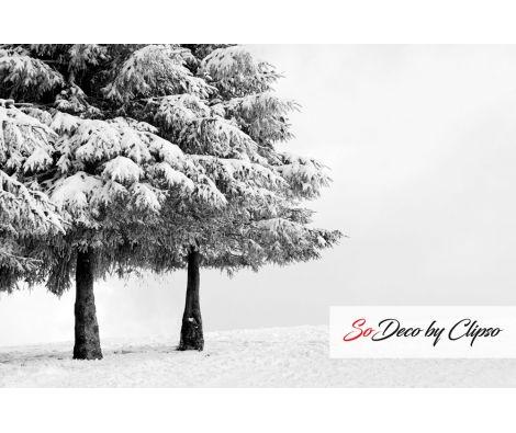 Clipso - Paysages - CD 1846