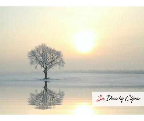 Clipso - Paysages - CD 1761