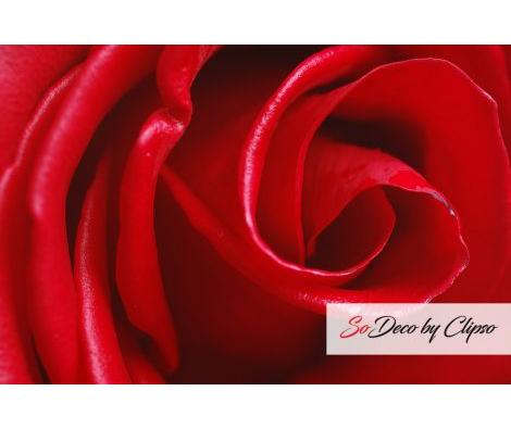 Clipso - Végétal - CD 1679 Rose Rouge