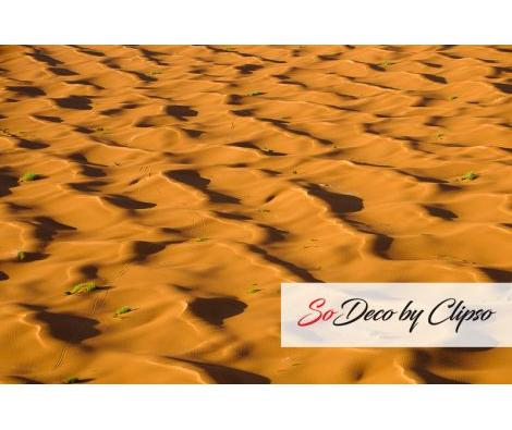 Clipso - RV - Ksar Ghilane Désert 0576