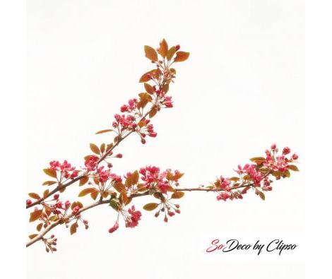 Clipso - VG - 07A