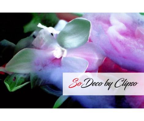 Clipso - SK - Notturno 3