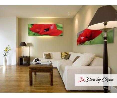 Clipso - AG - Red Oriental Poppy 1 & 3