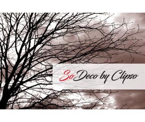 Clipso - VG - Maron