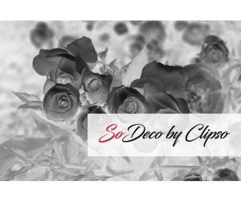 Clipso - VG MG 2207