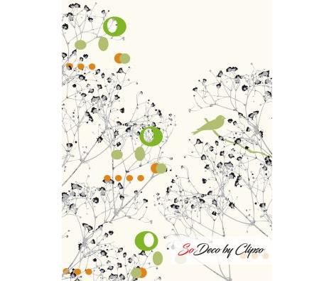 Clipso - BR Oiseau