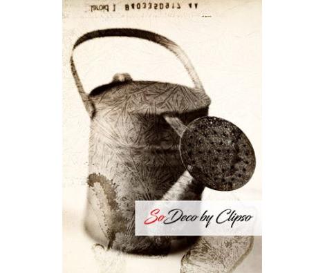 Clipso - AG - Watering Can