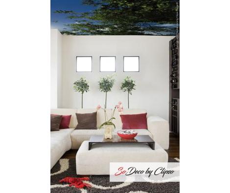 Clipso - Ciels - CD 1225