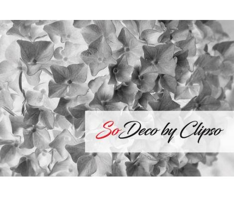 Clipso - VG MG 2183