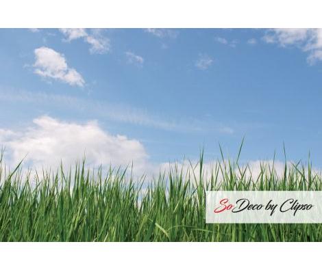 Clipso - Ciels - CD 1515 Ciel et Herbe