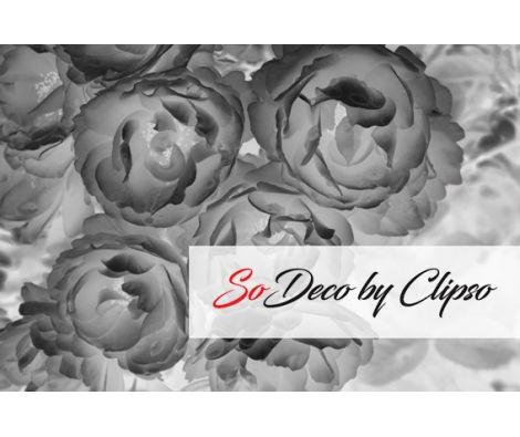 Clipso - VG MG 2199Bis