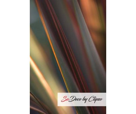 Clipso - AG - Phormium Firebird 5