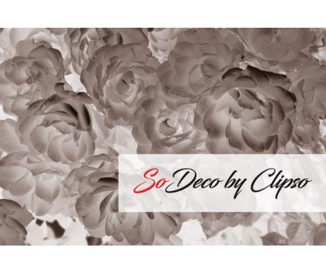 Clipso - VG MG 2211 bis