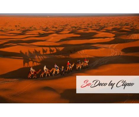 Clipso - RV - Ksar Ghilane Désert 0686