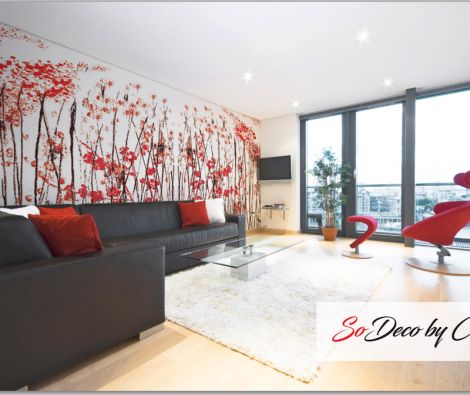 Clipso - BR Jap Junior