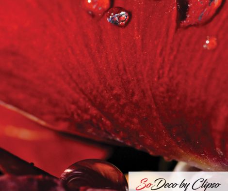 Clipso - MD - Ouverture