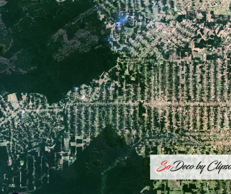 Clipso - PO Déforestation dans l'Etat de Rondonia Brésil 11 08 2001