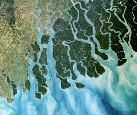 Clipso - PO Delta du Gange Inde et Bangladesh 17 11 2000