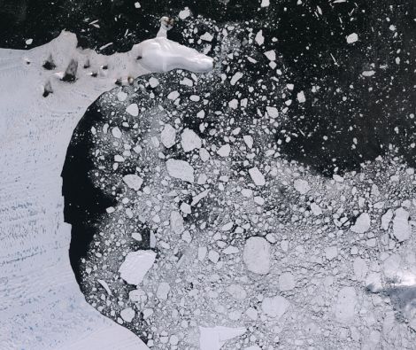 Clipso - PO Mer de Weddell Antarctique 21 02 2000