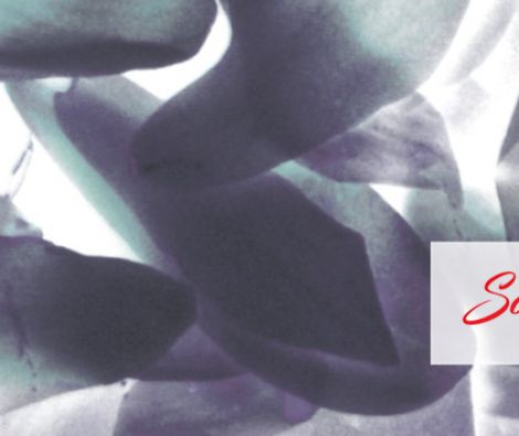 Clipso - SK - Secret Garden 4