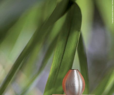 Clipso - Végétal - AG BAMBOO LEAVES 1