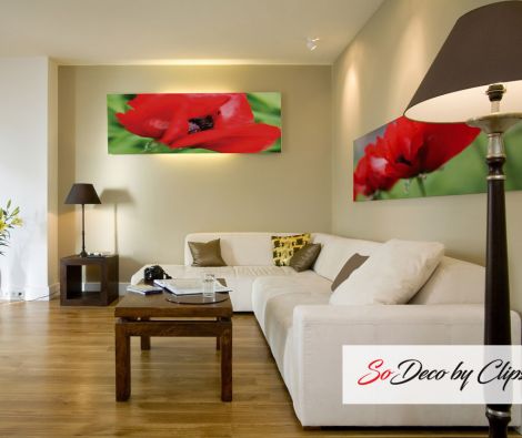 Clipso - AG - Red Oriental Poppy 1 & 3