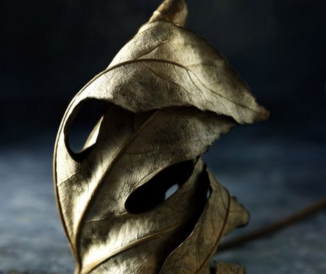 Clipso - AG - Leaf 2