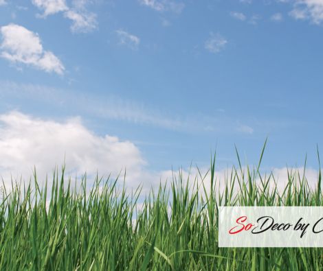 Clipso - Ciels - CD 1515 Ciel et Herbe